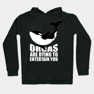 'Orcas Are Dying To Entertain' Animal Conservation Shirt Hoodie